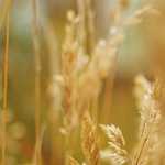 J Crew 25% off – shopping and my picks