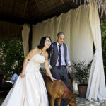 Wedding Day: The Damage