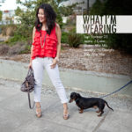 Lookbook: Forever Ruffles