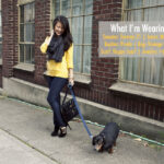 Lookbook: Photo Bomb