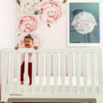 Essentials for Babies 6-12 Months Old