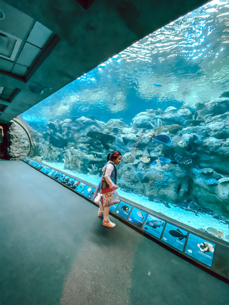 Things to do in Long Beach with kids