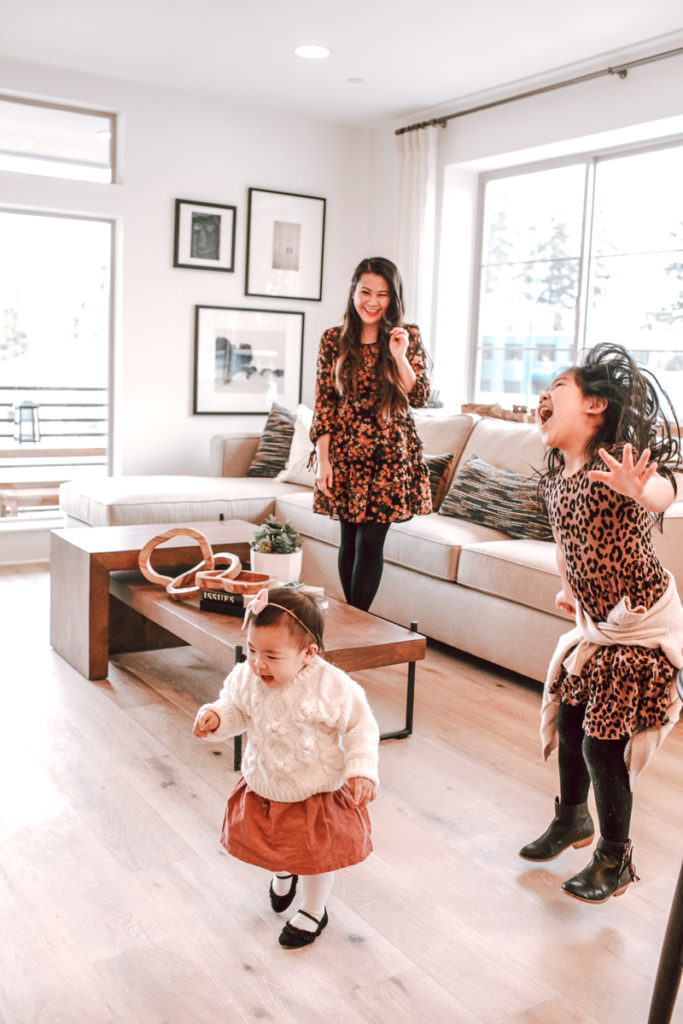 Modern Townhome Designs