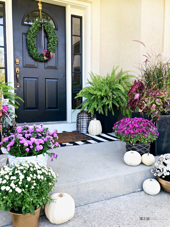 Purple, Black and White Fall Porch Decor Inspiration 