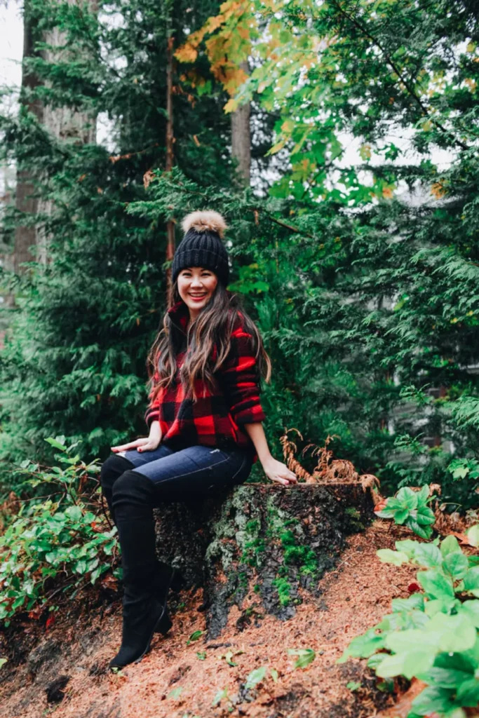 fall outfit idea plaid shirt